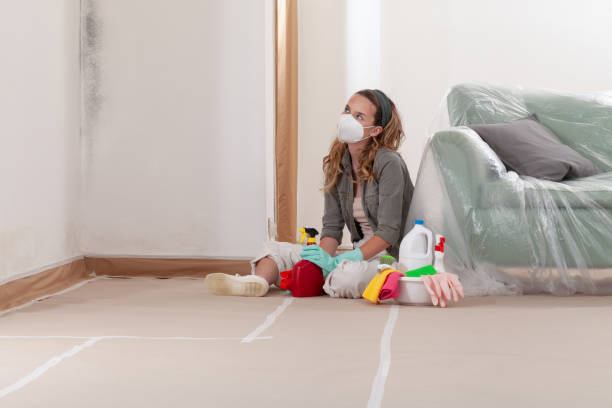 Reliable Mold Remediation contractor in Buffalo Grove, IL by WQB Mold Removal